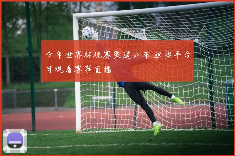 今年世界杯观赛渠道公布 这些平台可观看赛事直播
