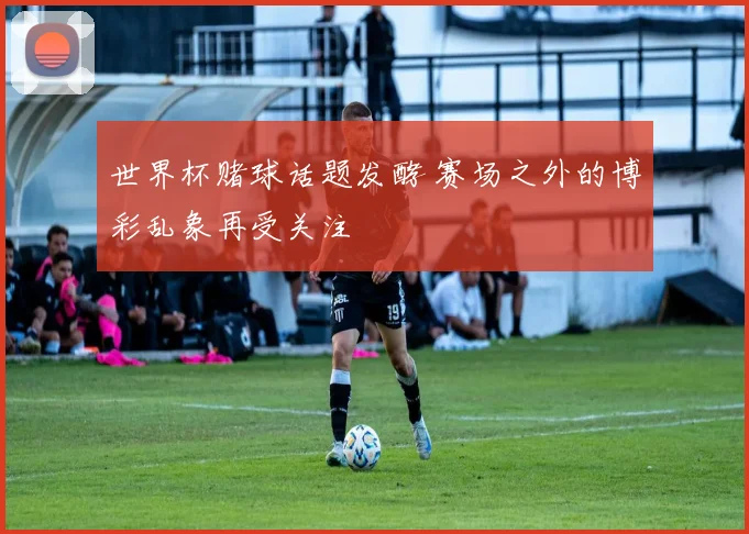 世界杯赌球话题发酵 赛场之外的博彩乱象再受关注