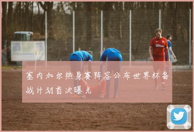 塞内加尔热身赛阵容公布世界杯备战计划首次曝光