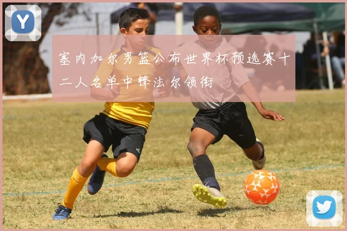 塞内加尔男篮公布世界杯预选赛十二人名单中锋法尔领衔