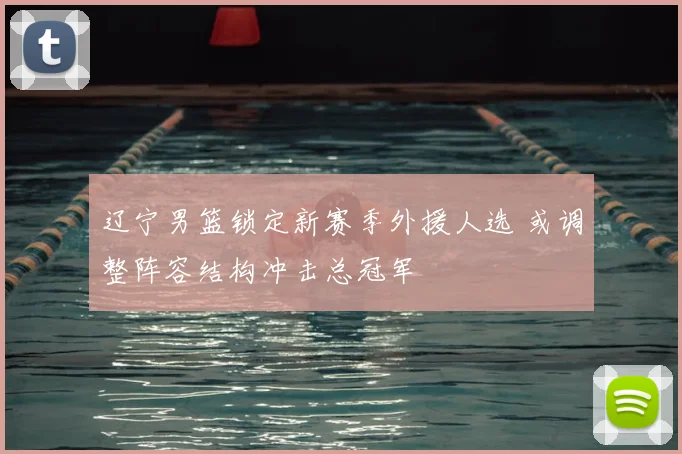 辽宁男篮锁定新赛季外援人选 或调整阵容结构冲击总冠军