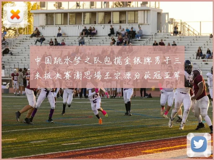 中国跳水梦之队包揽金银牌男子三米板决赛谢思埸王宗源分获冠亚军